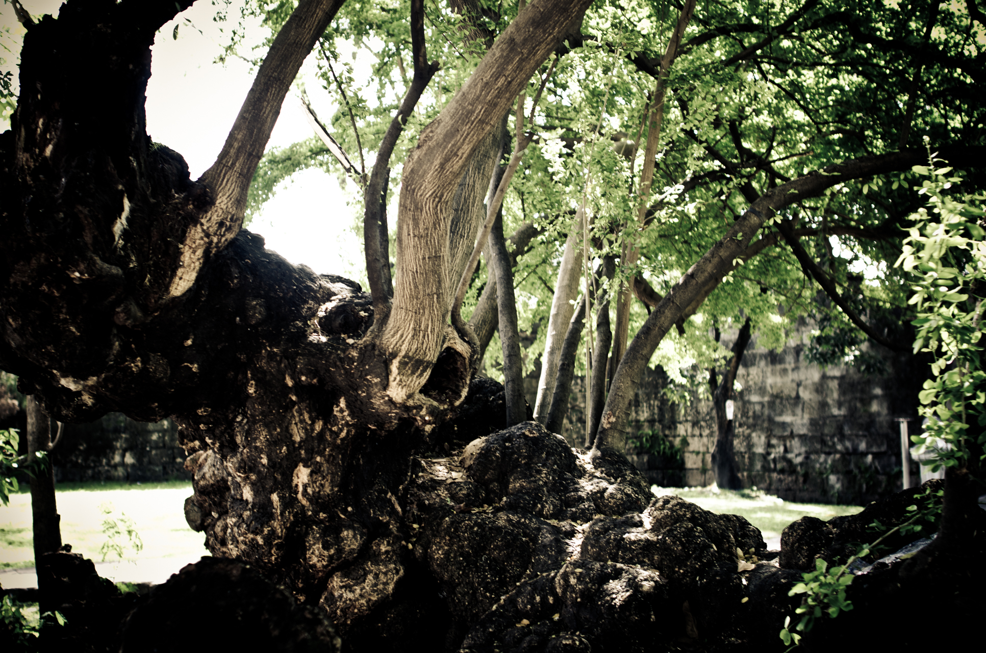 Intramuros